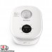 Buffalo 1.5L Jar Rice Cooker KW91