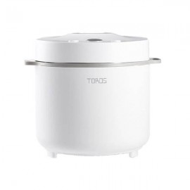 Buffalo 1.8L Jar Rice Cooker KWT12